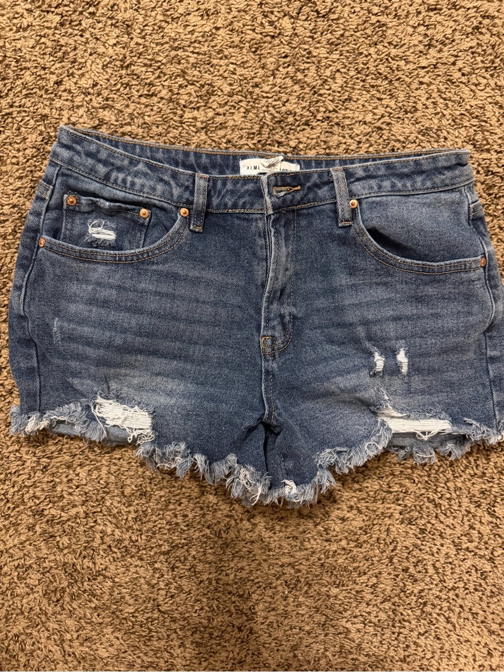 Denim Distressed Frayed Hem Women's Shorts - Blue